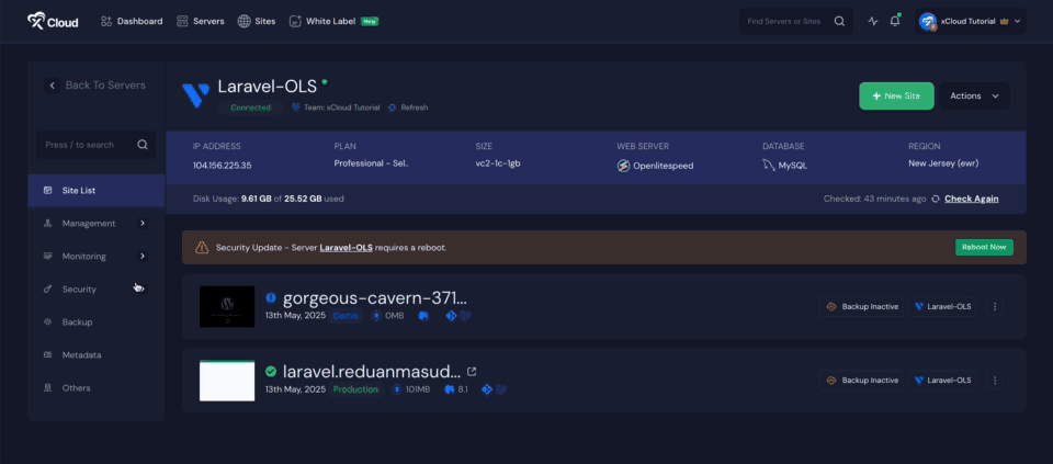 Supervisor for Process Management