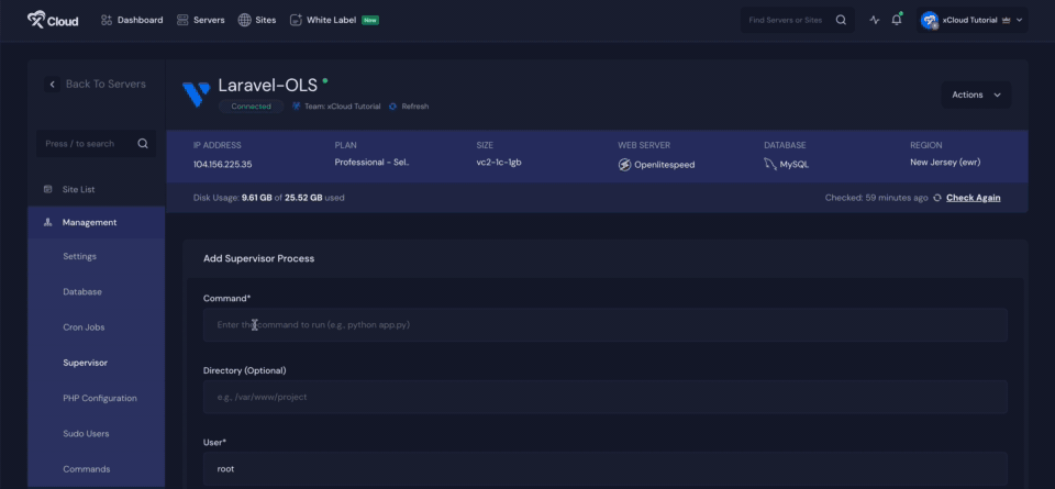 Supervisor for Process Management