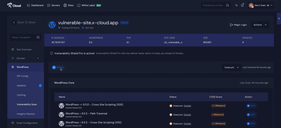 Vulnerability Shield Pro